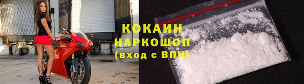 дживик Алзамай