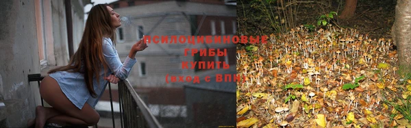 мяу мяу мука Алексин